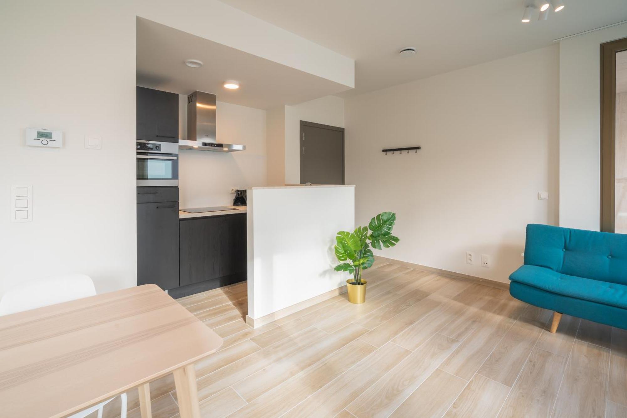 Opera Square Apartments In Antwerp Centre מראה חיצוני תמונה
